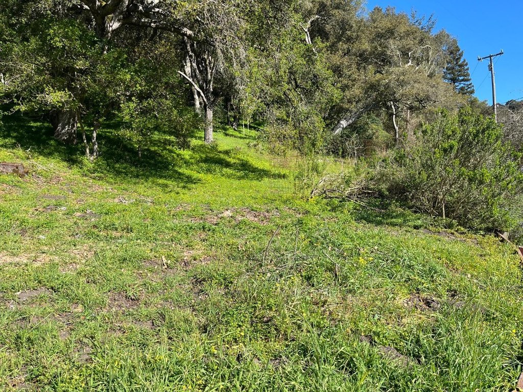 Picture 25