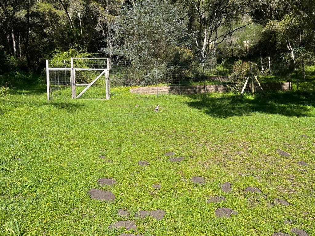 Picture 17