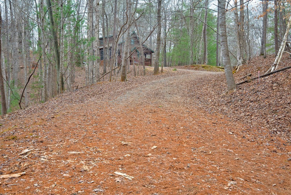 Picture 21