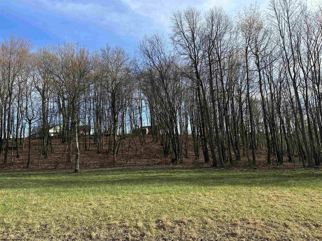 Picture 17