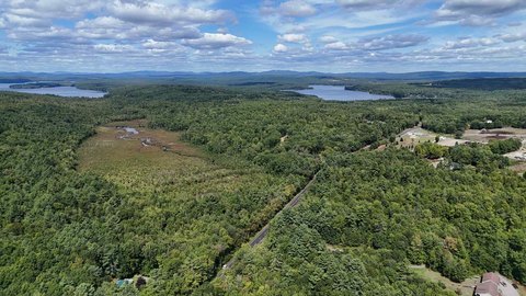 Maine Woodland Acreage in Poland