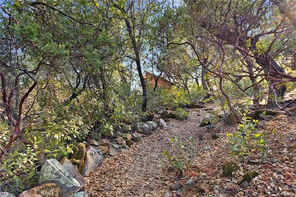 Picture 19