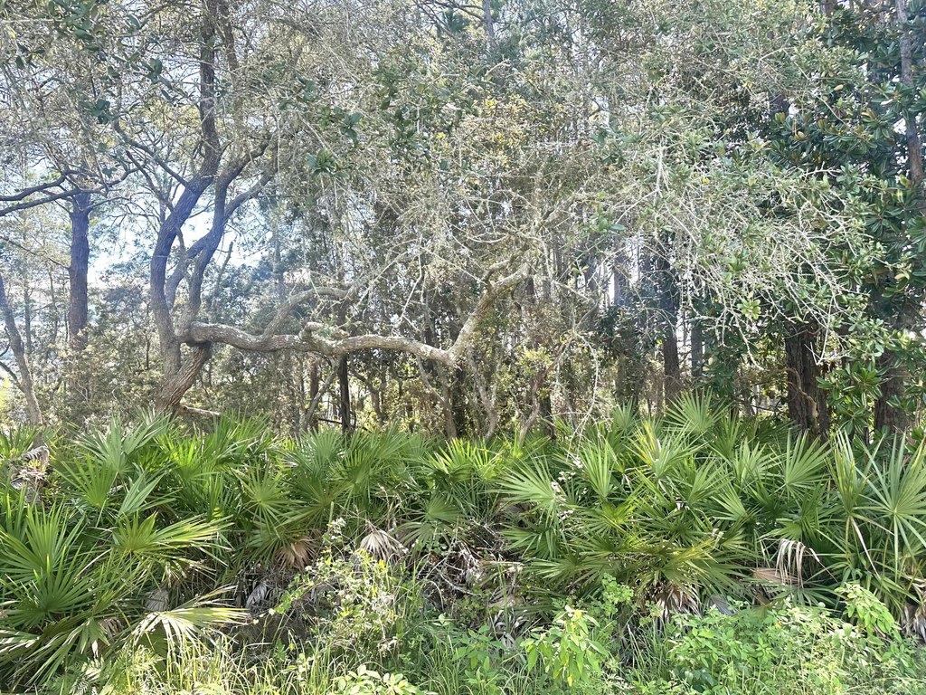 Picture 14