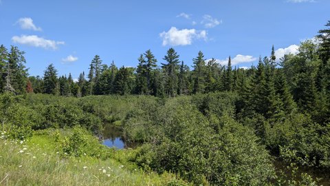 Expansive Land with River Frontage
