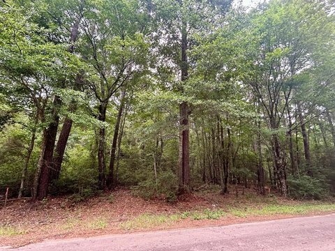 LAND - Zavalla, TX