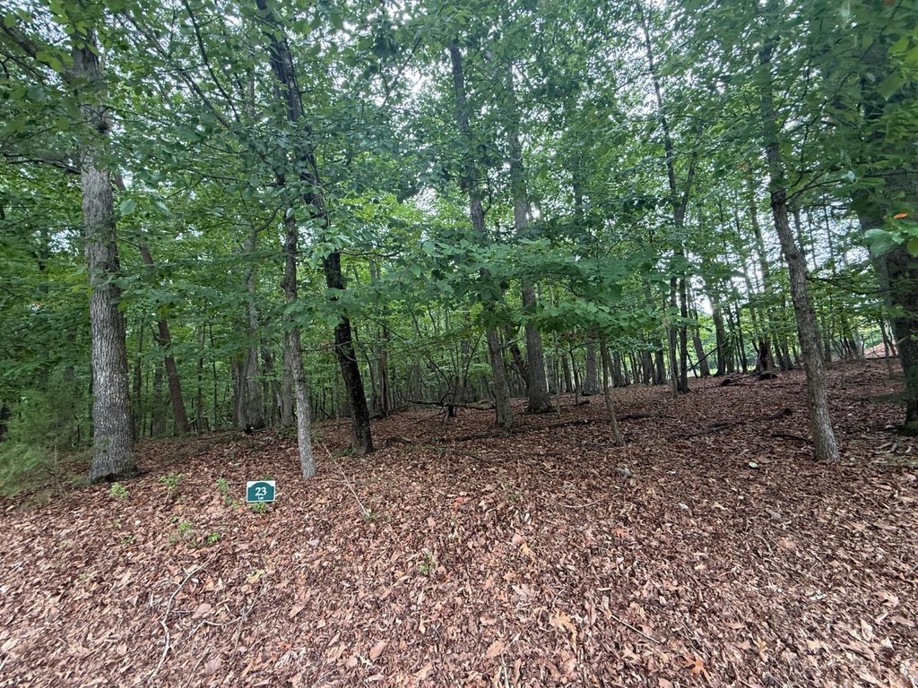 Picture 4