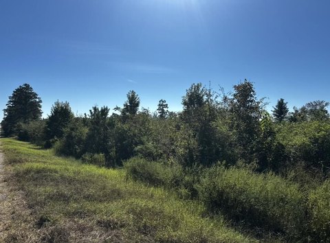 Land, Pansey, AL