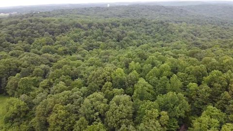 Hunting Land Parcel with Mature Timber