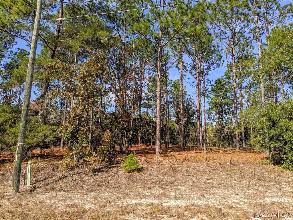 Citrus Springs Residential Lot