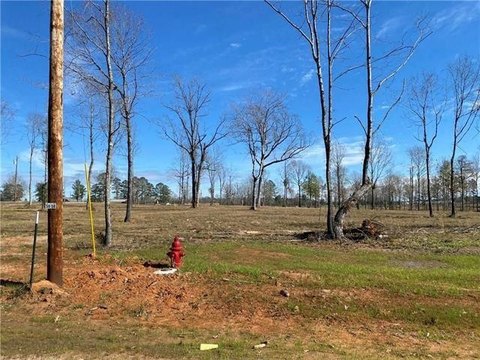 Land, Dry Prong, LA