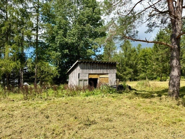 Picture 11