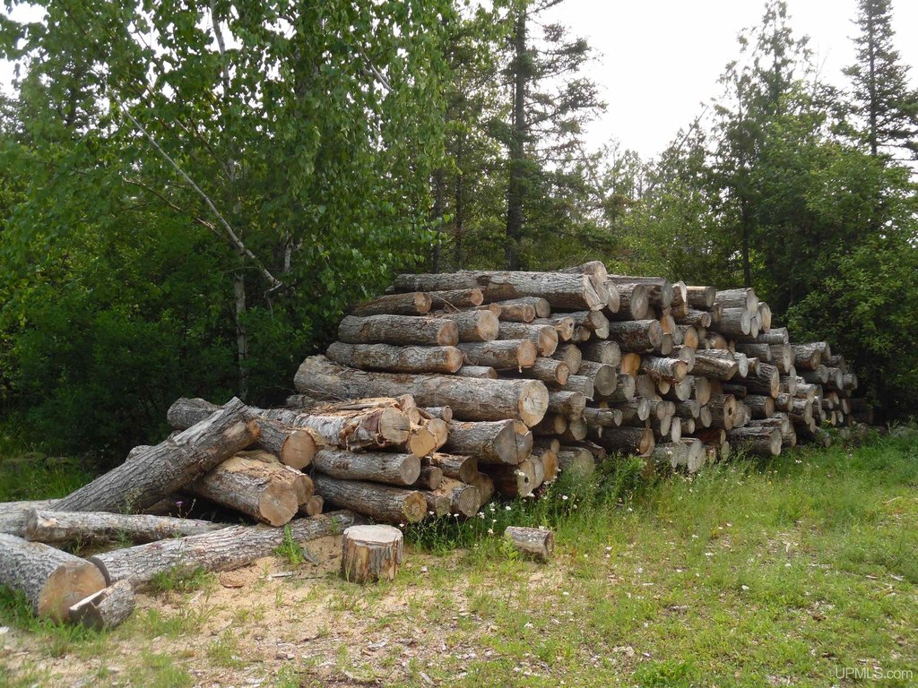 Picture 21