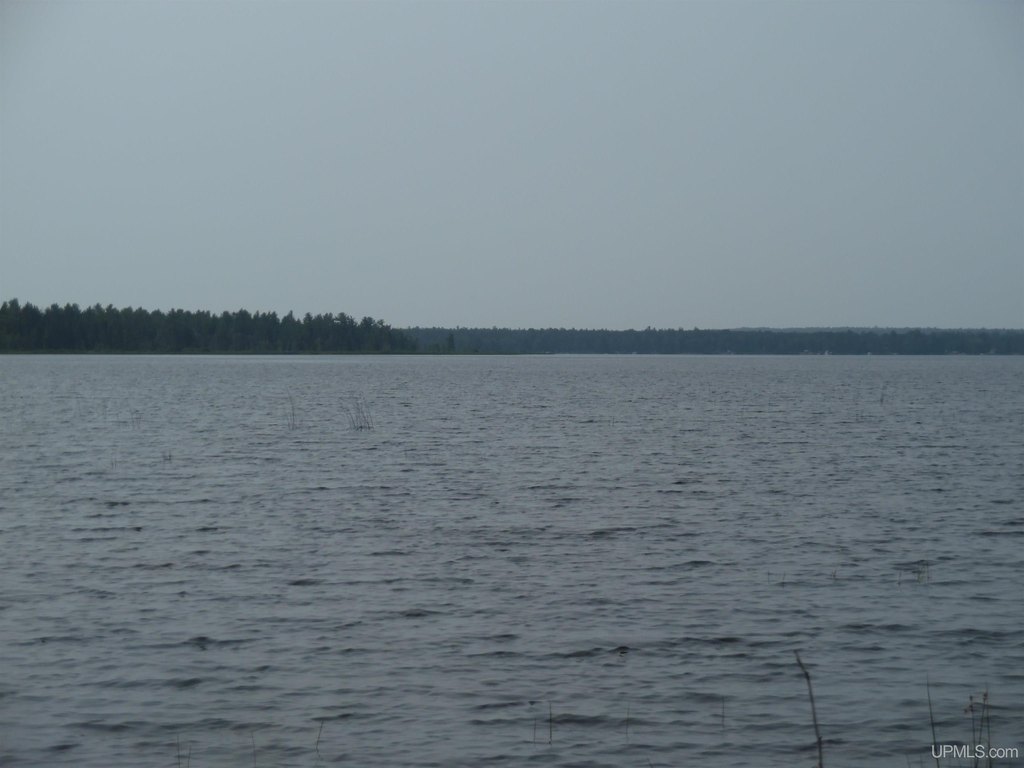 Picture 29