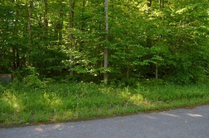 Picture 9