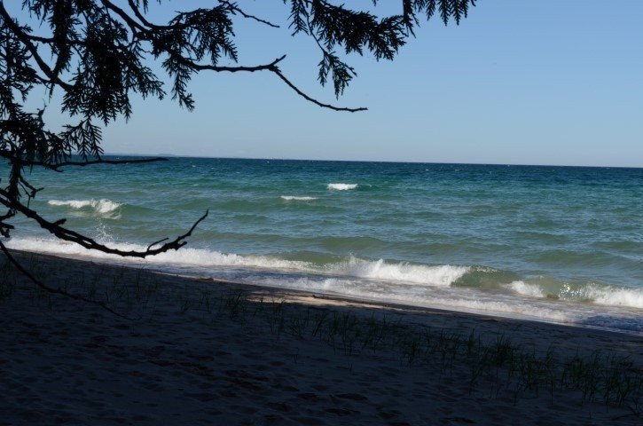 Picture 4