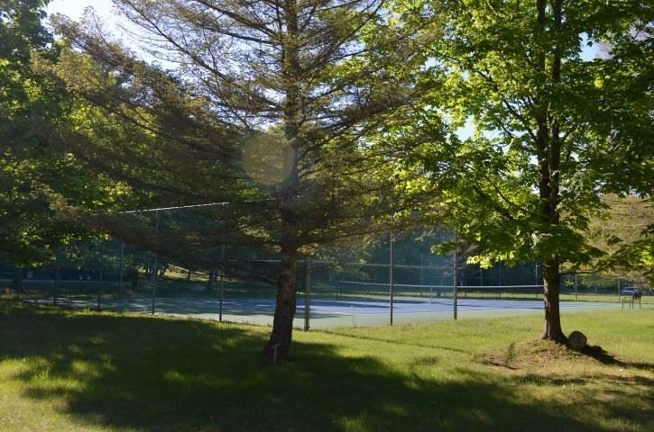 Picture 13