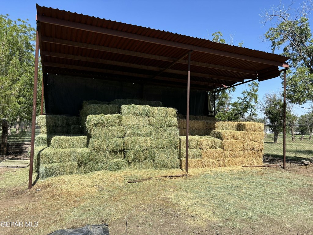 Picture 20