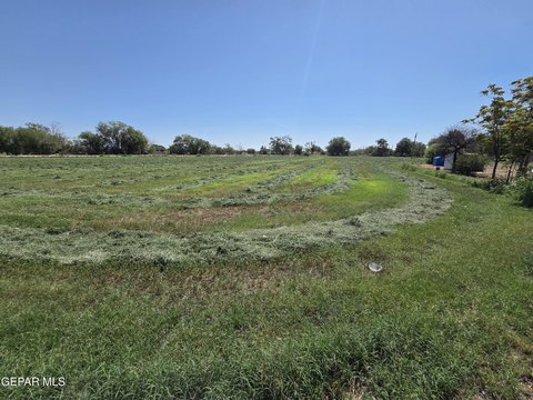 LAND - San Elizario, TX