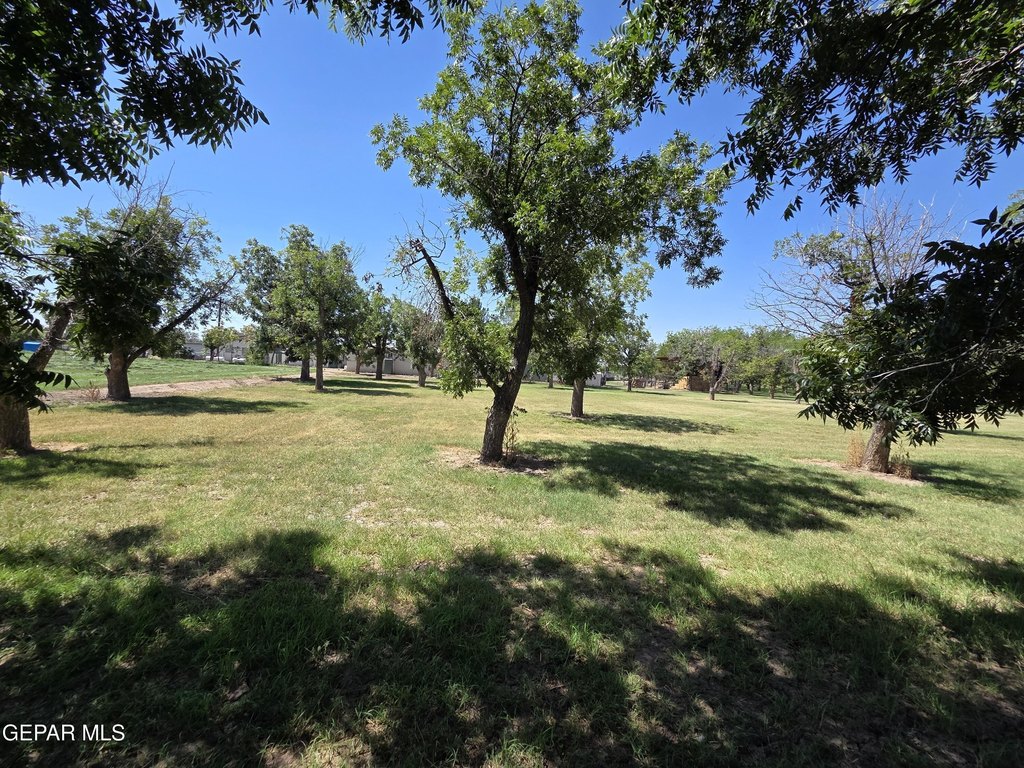 Picture 6