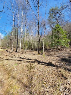 Franklin, NC 19-Acre Land Tract