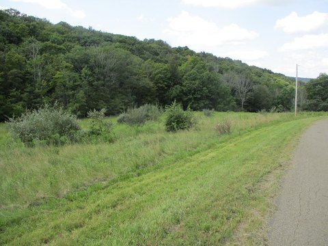 Residential Land in Pine City