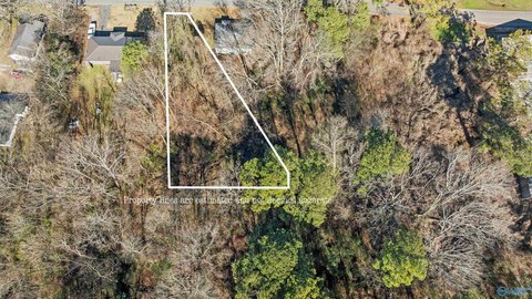 Wooded Lot in Arab, AL