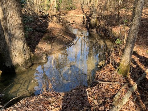 Unrestricted Land with River Frontage