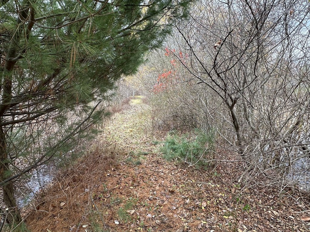 Picture 5