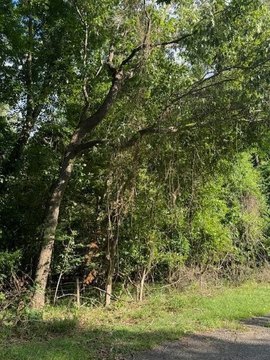 Moncks Corner Land For Sale