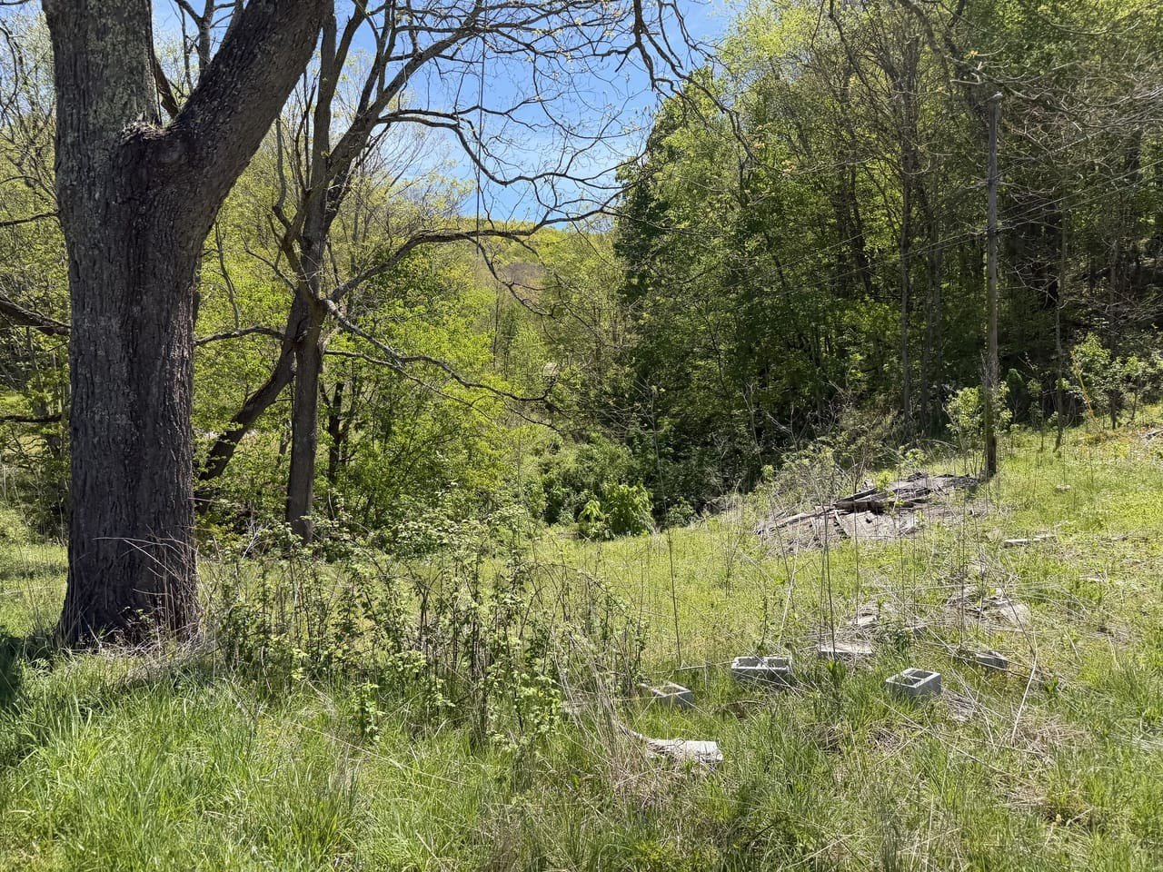 Land with Mountain Views