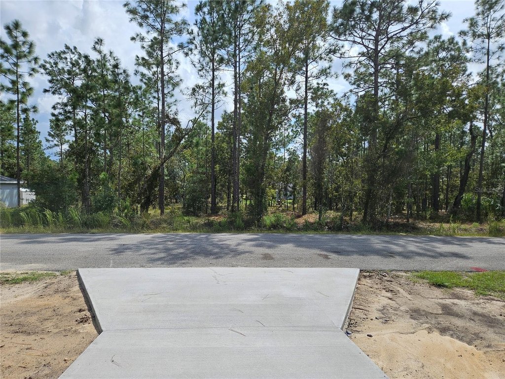 Picture 11