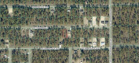 Land, DUNNELLON, FL