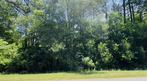 LAND - Theodore, AL