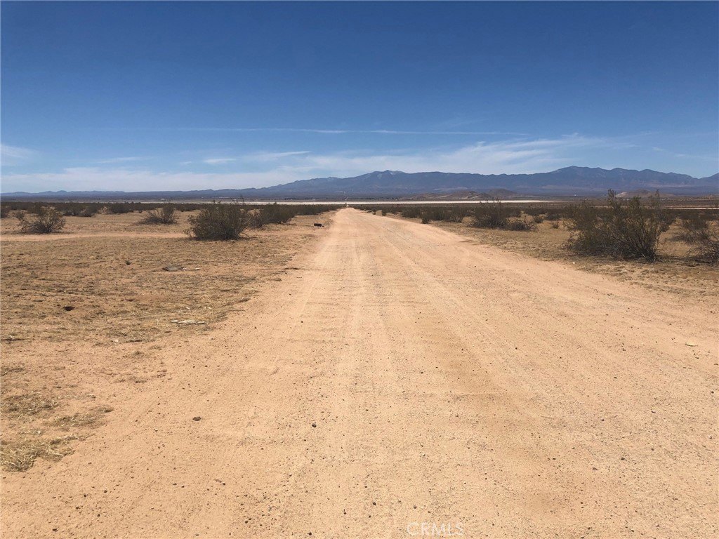 Picture 22