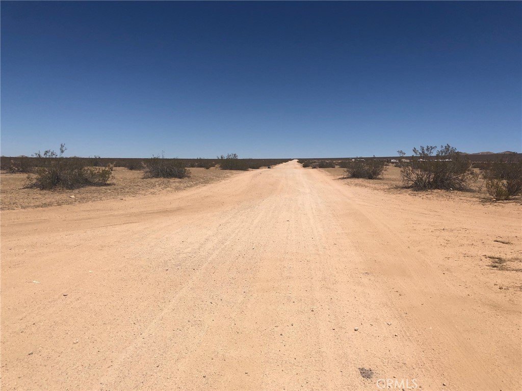 Picture 21
