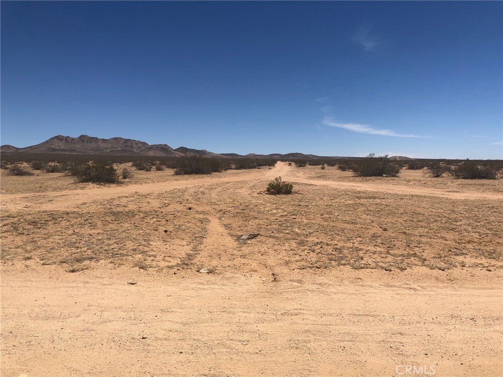 Picture 23