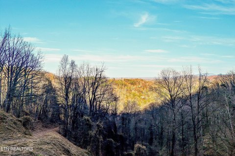 Sevierville Land in Shagbark Resort