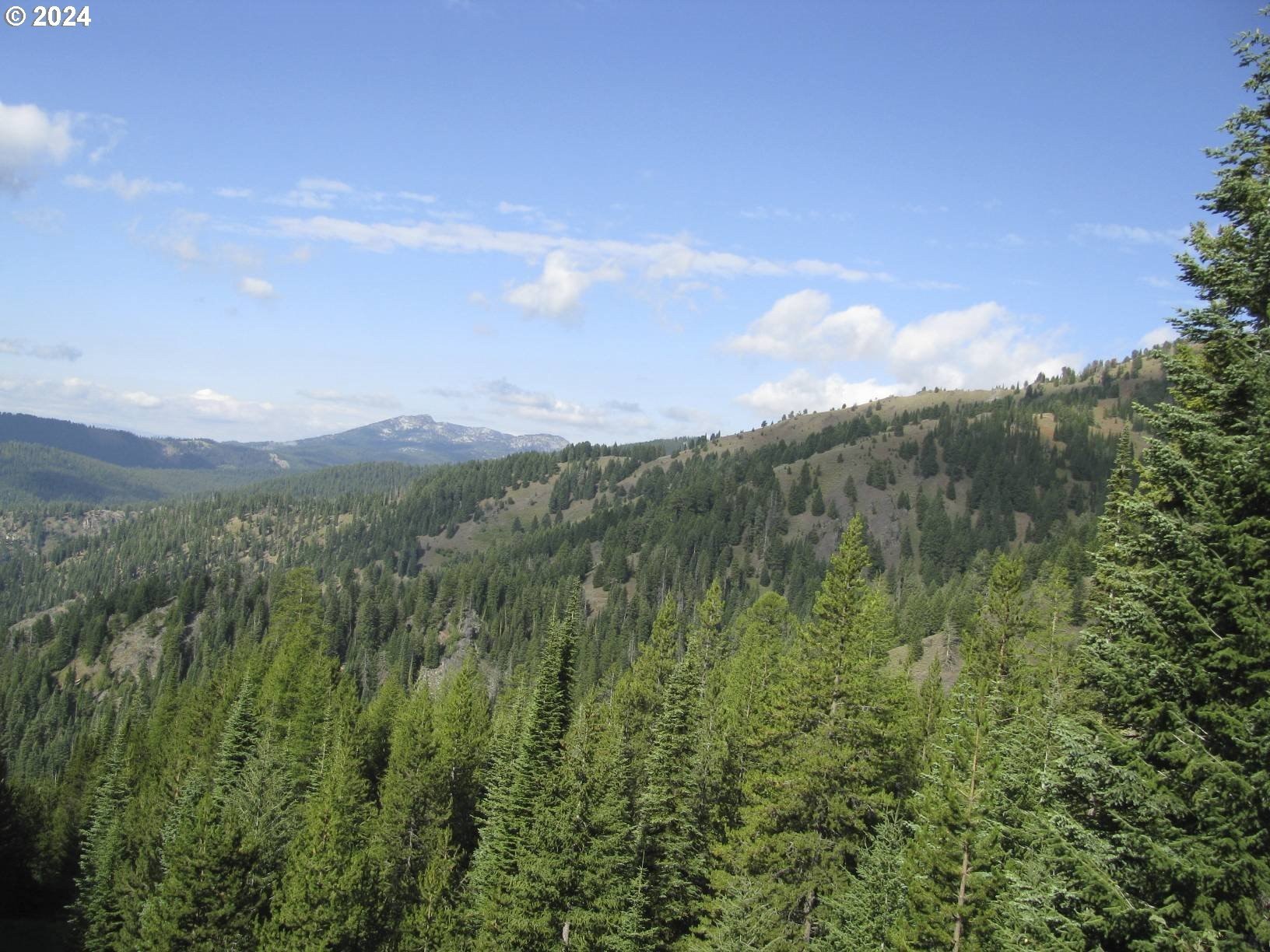 Historic Mining Property with Potential