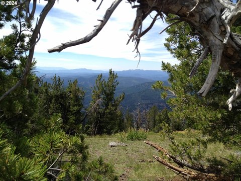 Historic Mining Property with Potential