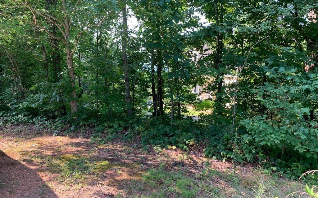 Picture 16