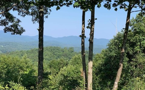 Mountain View Land in Warne