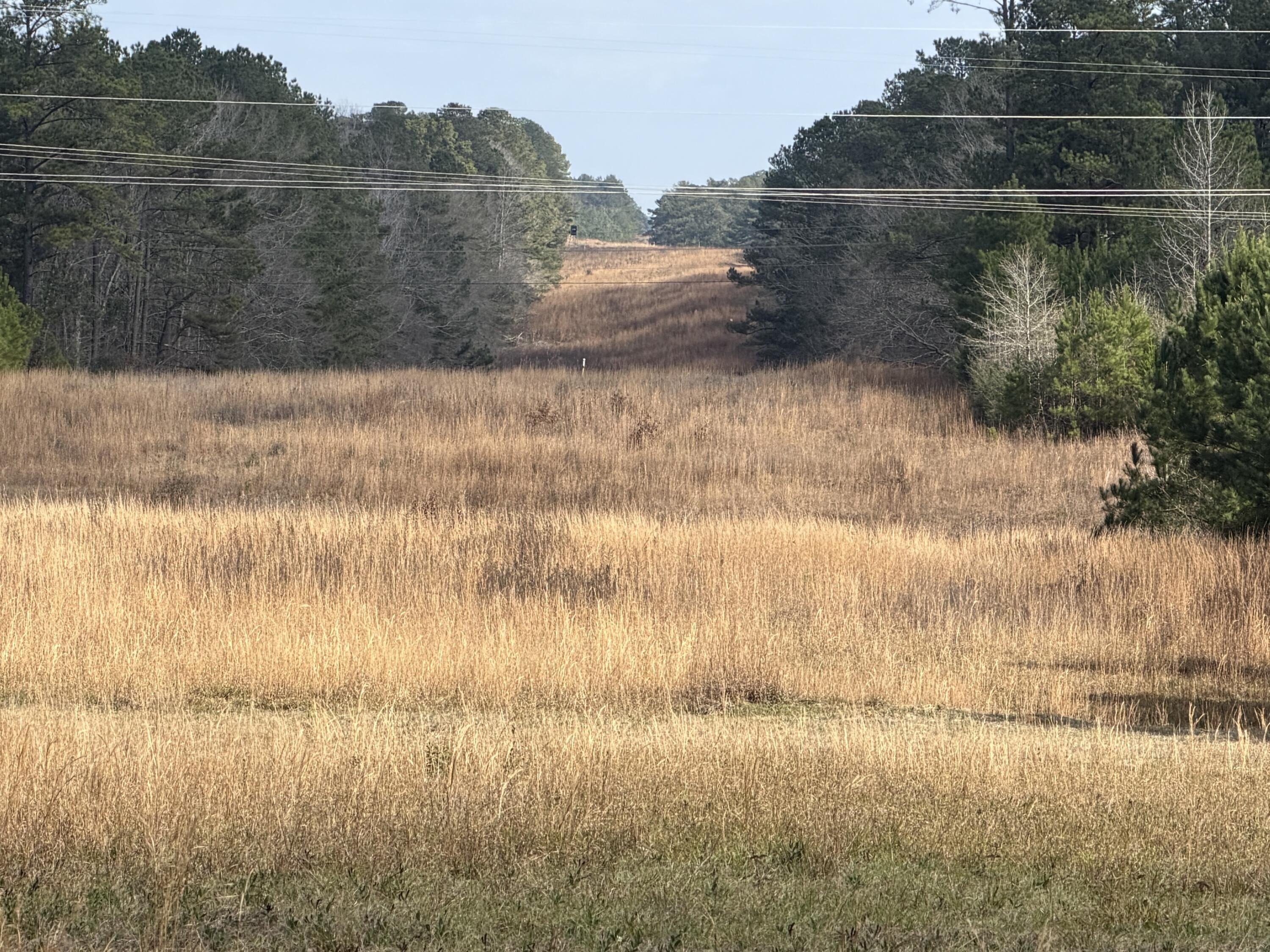 29 Acres of Open Land