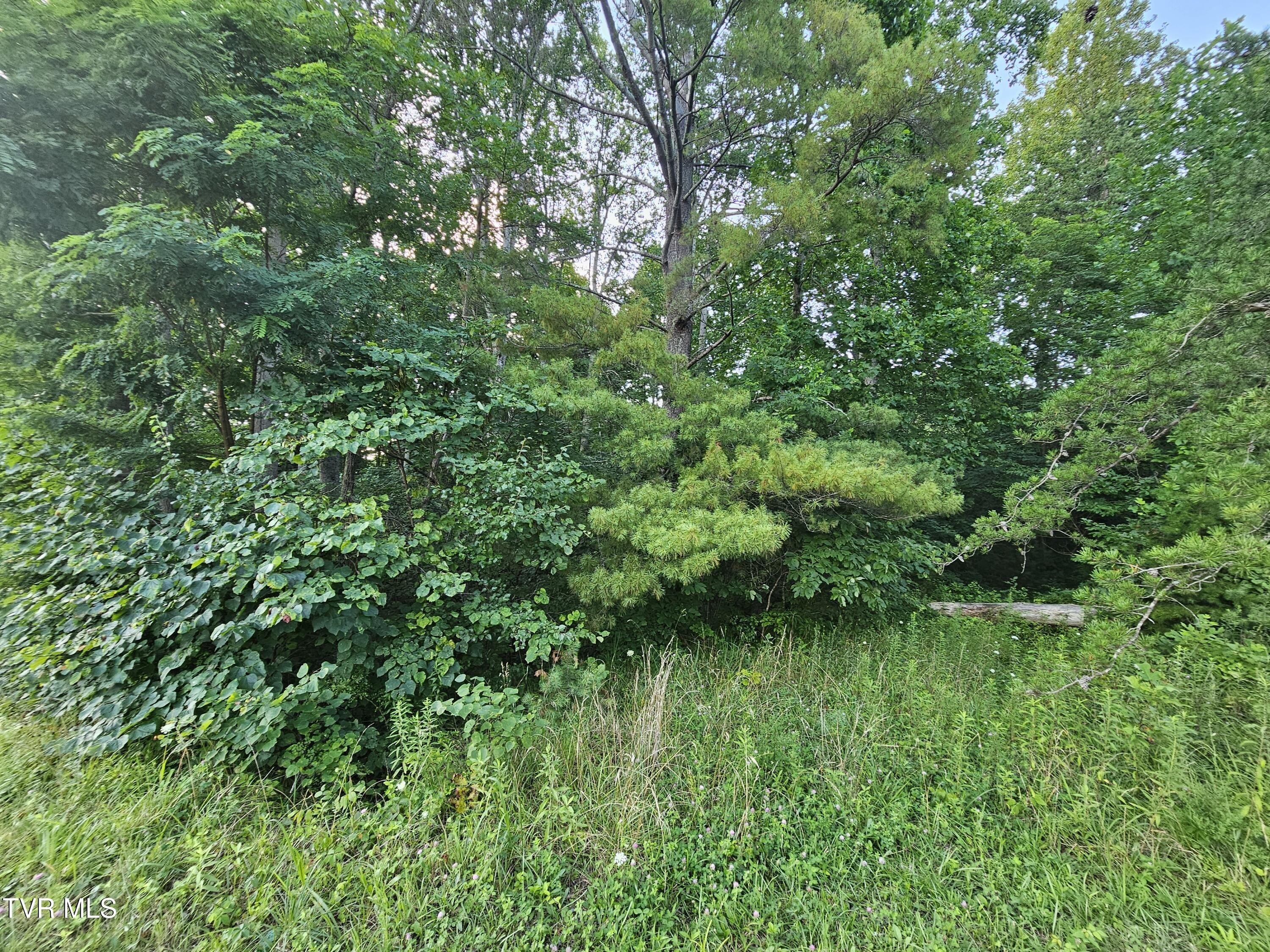 Land Near South Holston Lake