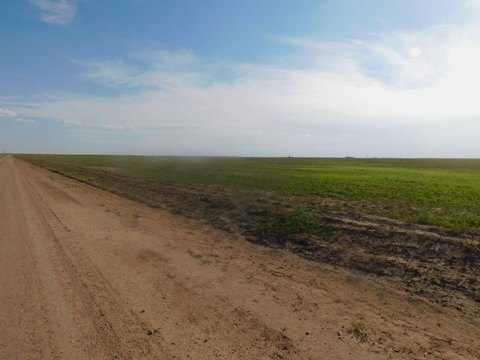 Land, Goodwell, OK