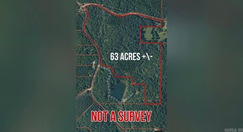 63 Acres Wooded Land