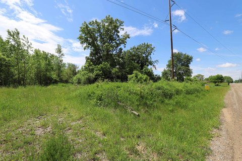 Wooded Land in Flushing, Michigan