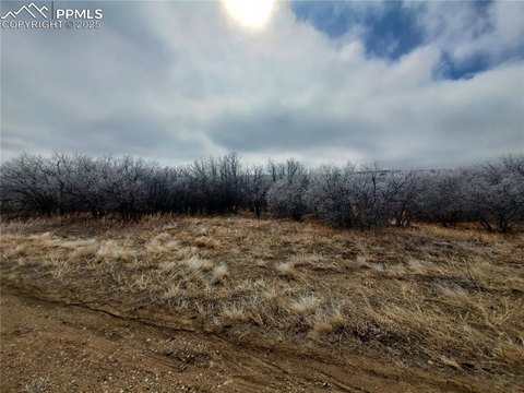 Quarter Acre Treed Colorado Land