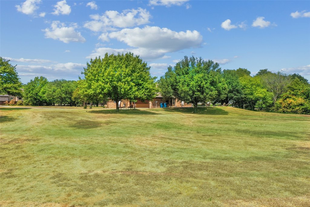 Picture 24