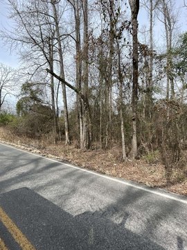 Pine Bluff Land For Sale