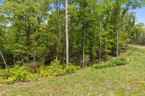 Ellijay Vacant Lot in Gated Community